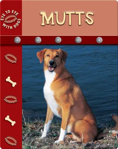 Eye To Eye With Dogs: Mutts book