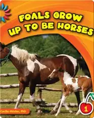 Foals Grow Up To Be Horses