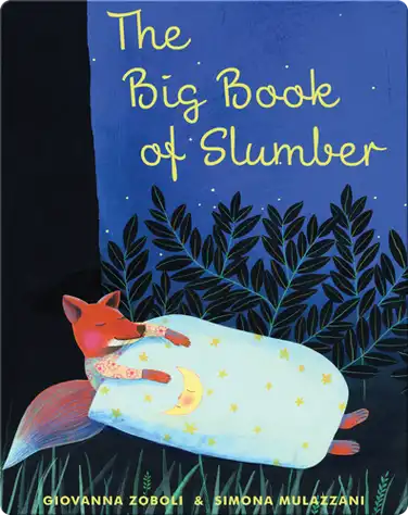 The Big Book of Slumber book