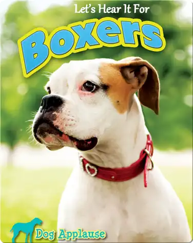 Let's Hear It For Boxers book