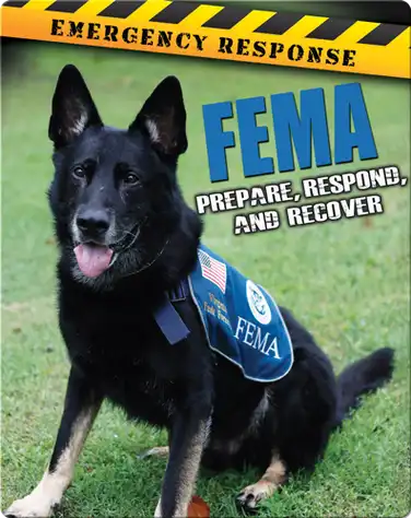 FEMA: Prepare, Respond, And Recover book