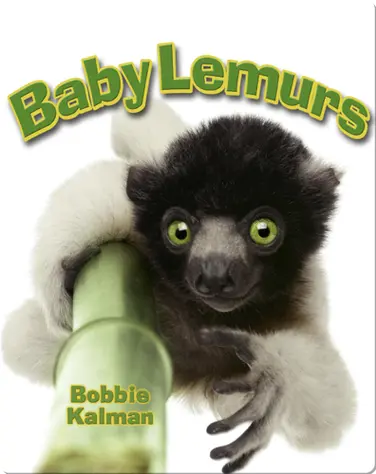 Baby Lemurs book
