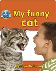 My Funny Cat