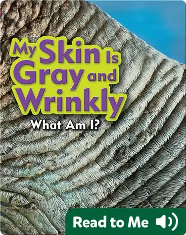 My Skin Is Gray and Wrinkly book