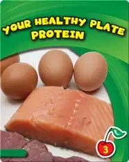 Your Healthy Plate: Protein