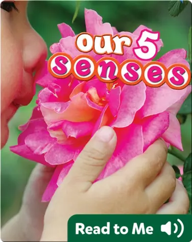 Our 5 Senses book