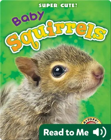 Super Cute! Baby Squirrels book