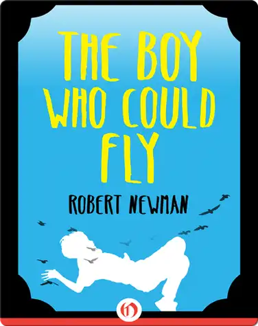 The Boy Who Could Fly book