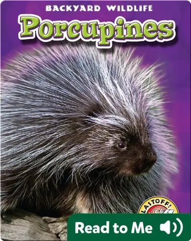 Porcupines: Backyard Wildlife book