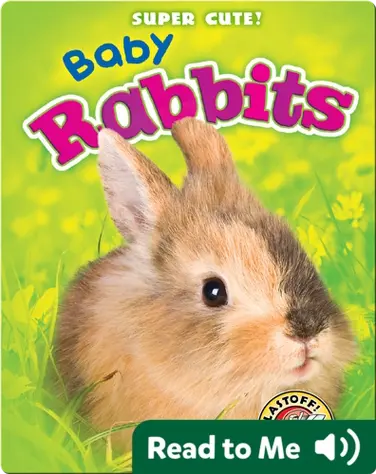 Super Cute! Baby Rabbits book