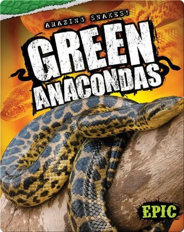 Amazing Snakes! Green Anacondas book