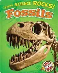 Earth Science Rocks! Fossils