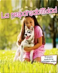 La responsabilidad