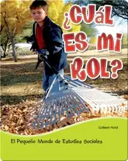 ¿Cuál es mi rol?