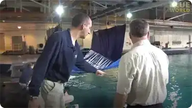 How to Hand feed a Manta Ray! book