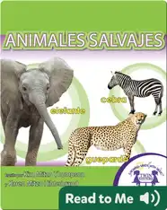 Animales Salvajes