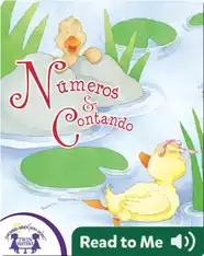 Numeros & Contando