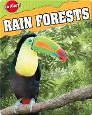 Rain Forests