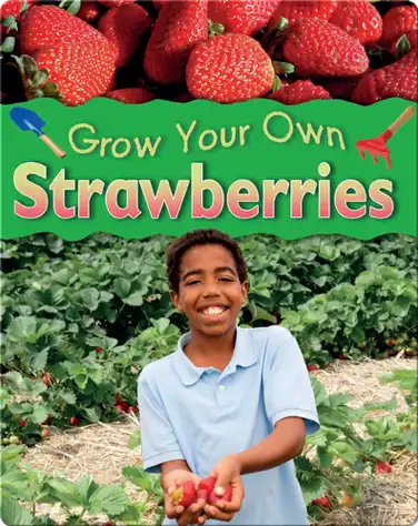 Strawberries book