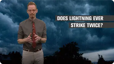 Does Lightning Ever Strike Twice? book