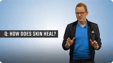 How Does Skin Heal? book