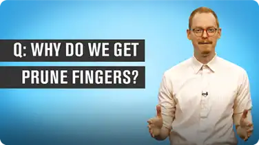 Why Do We Get Prune Fingers? book