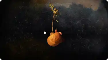 A Lifestory (animation) book