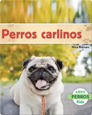 Perros carlinos
