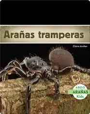 Arañas tramperas