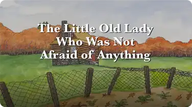 The Little Old Lady Who Was Not Afraid Of Anything book