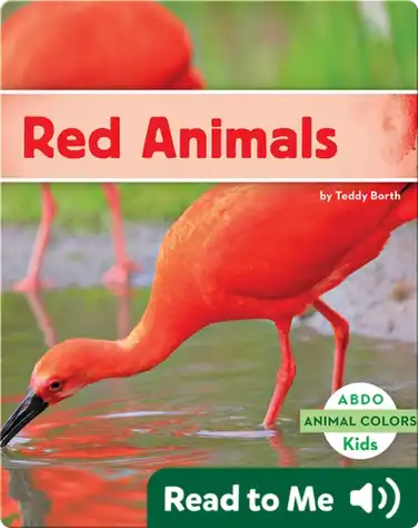 Red Animals book