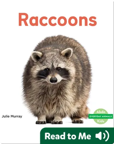Raccoons book