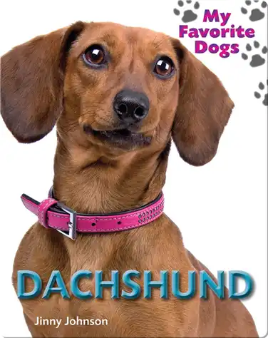Dachshund book
