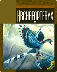 Archaeopteryx