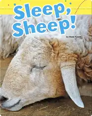Sleep, Sheep!