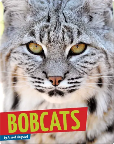 Bobcats book