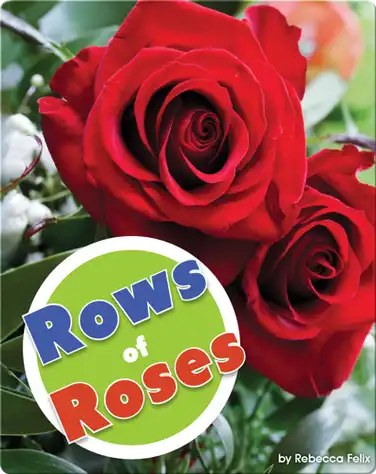 Rows Of Roses book