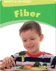 Fiber