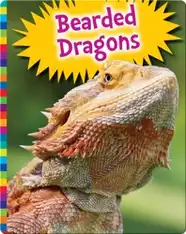 Bearded Dragons