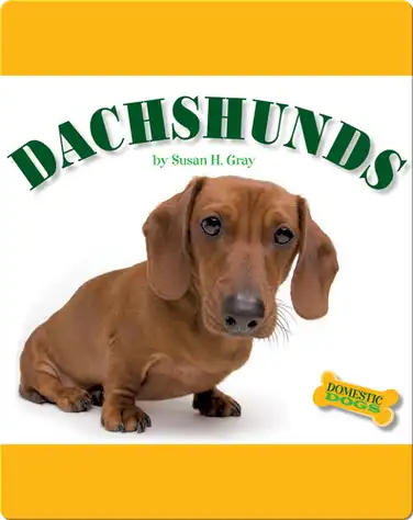 Dachshunds book