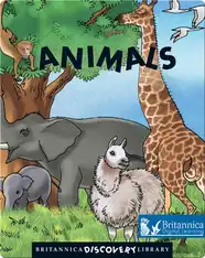 Animals