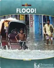 Flood!