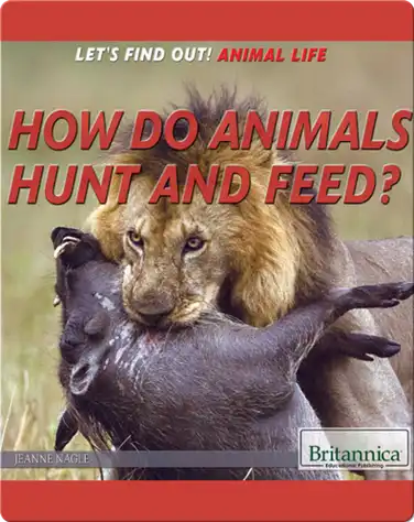 How Do Animals Hunt and Feed? book