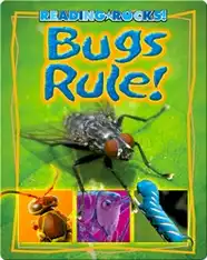 Bugs Rule!