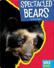 Spectacled Bears