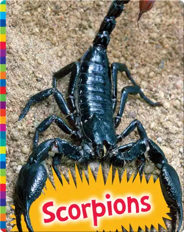 Scorpions book