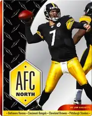 AFC North
