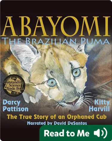 Abayomi, the Brazilian Puma book