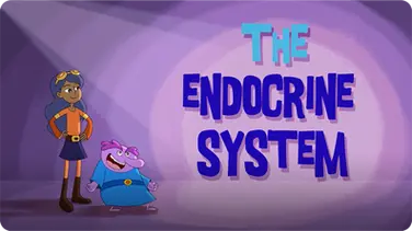 The Endocrine System book