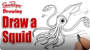 How to Draw a Squid book